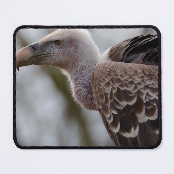 Item preview, Side Profile Portrait Of Vulture Bird designed and sold by Hiltonaw.