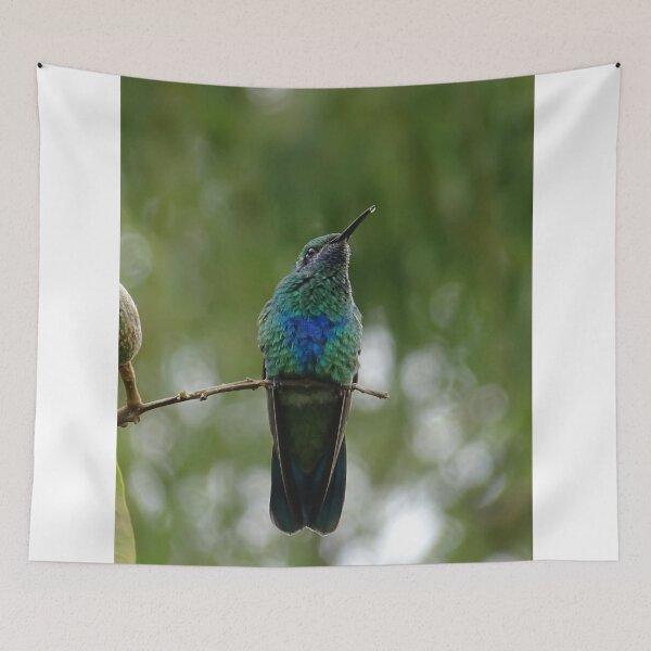 Item preview, Hummingbird With Iridescent Green And Blue Feathers Perched On Branch designed and sold by Hiltonaw.