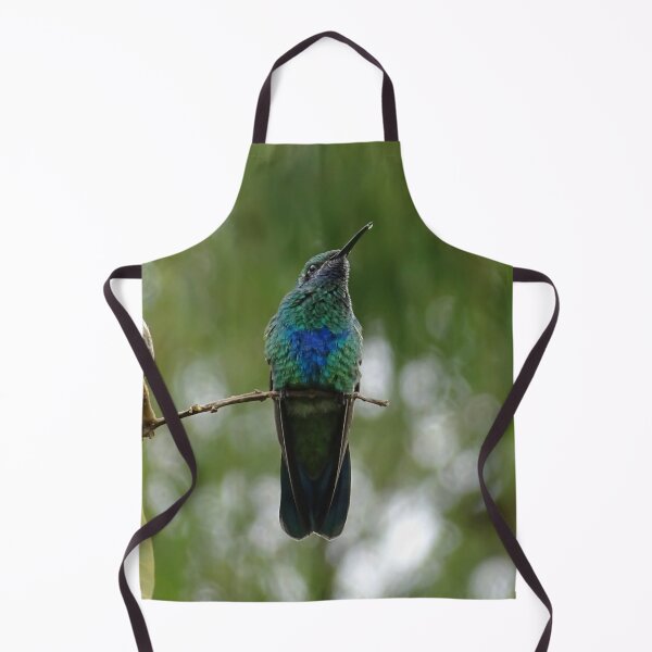 Item preview, Hummingbird With Iridescent Green And Blue Feathers Perched On Branch designed and sold by Hiltonaw.