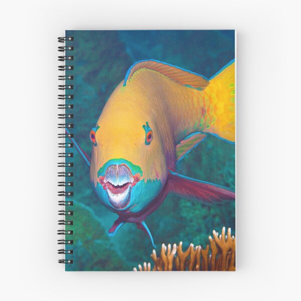 Artikelvorschau, Farbenfrohe Papageifische * Nahaufnahmen unter Wasser | entworfen und verkauft von Photo & Design Ute Niemann.