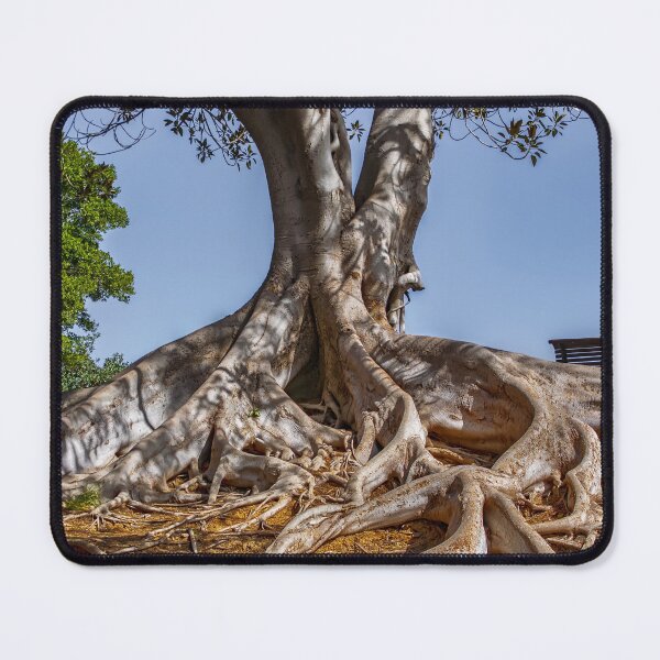 Item preview, Large Banyan Tree With Massive Sprawling Root System designed and sold by Maveryc.