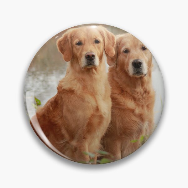 Item preview, Two Golden Retrievers Sitting Side By Side Near Lake In Autumn designed and sold by Maveryc.
