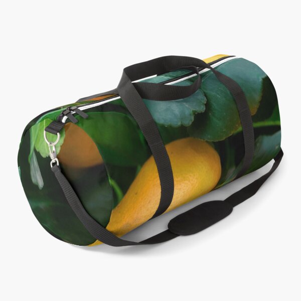 Item preview, Fresh Ripe Yellow Lemons Growing On Tree Branch designed and sold by Maveryc.