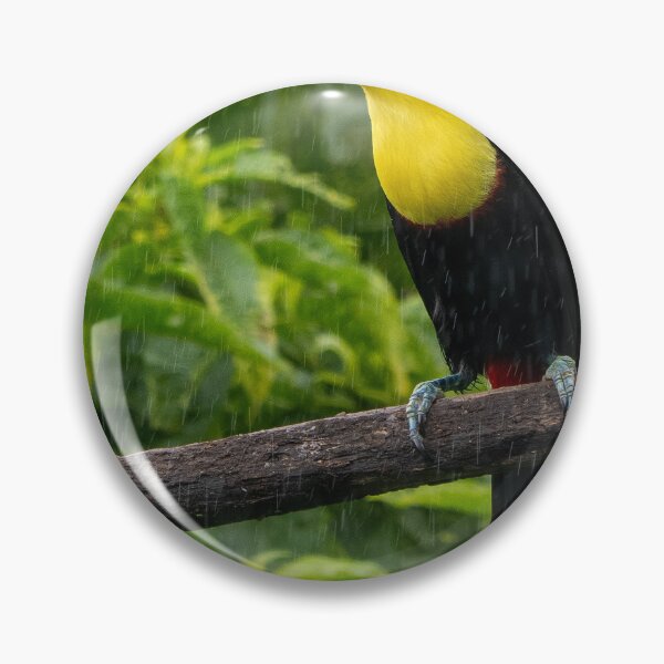 Item preview, Keel Billed Toucan Perched On Branch In Gentle Rain designed and sold by Maveryc.