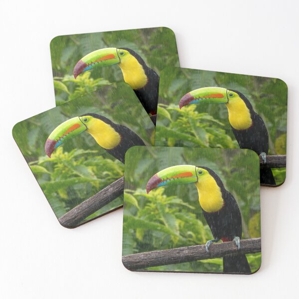 Item preview, Keel Billed Toucan Perched On Branch In Gentle Rain designed and sold by Maveryc.