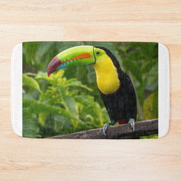 Item preview, Keel Billed Toucan Perched On Branch In Gentle Rain designed and sold by Maveryc.