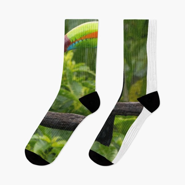 Item preview, Keel Billed Toucan Perched On Branch In Gentle Rain designed and sold by Maveryc.