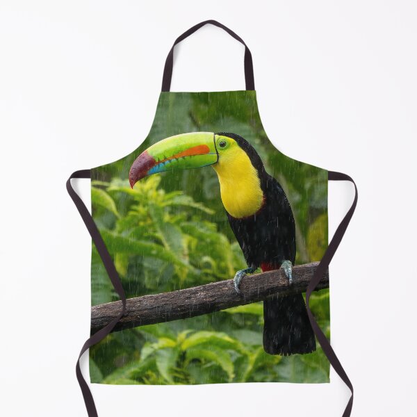 Item preview, Keel Billed Toucan Perched On Branch In Gentle Rain designed and sold by Maveryc.