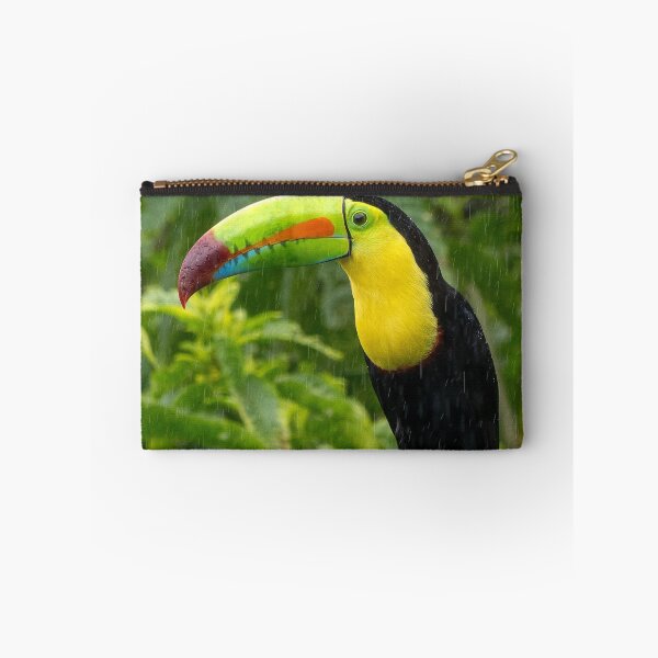 Item preview, Keel Billed Toucan Perched On Branch In Gentle Rain designed and sold by Maveryc.