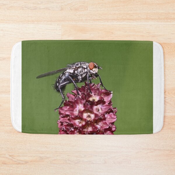 Item preview, Macro Close Up Of Fly Perched On Dark Red Flower designed and sold by Maveryc.