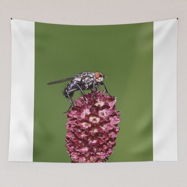 Item preview, Macro Close Up Of Fly Perched On Dark Red Flower designed and sold by Maveryc.