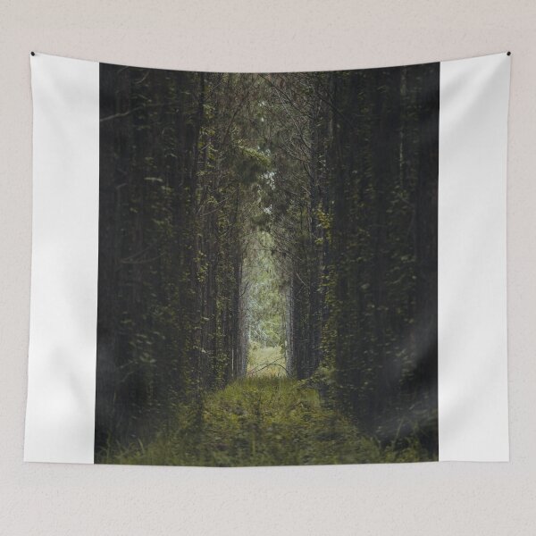 Item preview, Narrow Pathway Through Dense Pine Tree Forest designed and sold by Francisera.