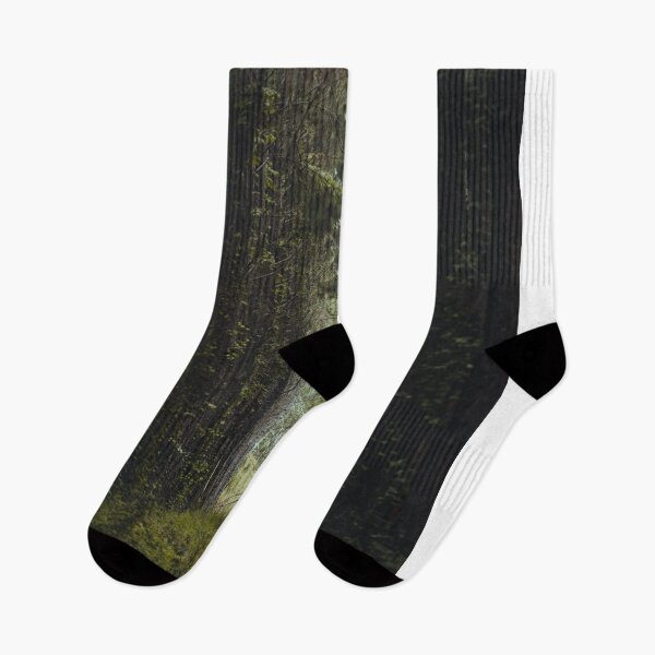 Item preview, Narrow Pathway Through Dense Pine Tree Forest designed and sold by Francisera.