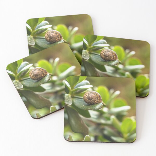 Item preview, Small Snail Resting On Thick Green Succulent Leaf designed and sold by Francisera.