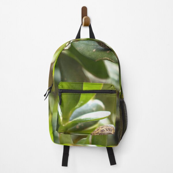 Item preview, Small Snail Resting On Thick Green Succulent Leaf designed and sold by Francisera.