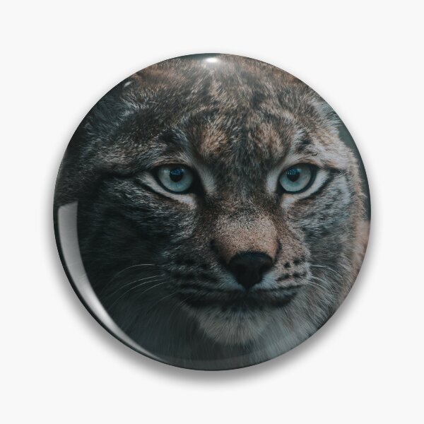 Item preview, Close Up Portrait Of Lynx With Striking Blue Eyes designed and sold by Francisera.