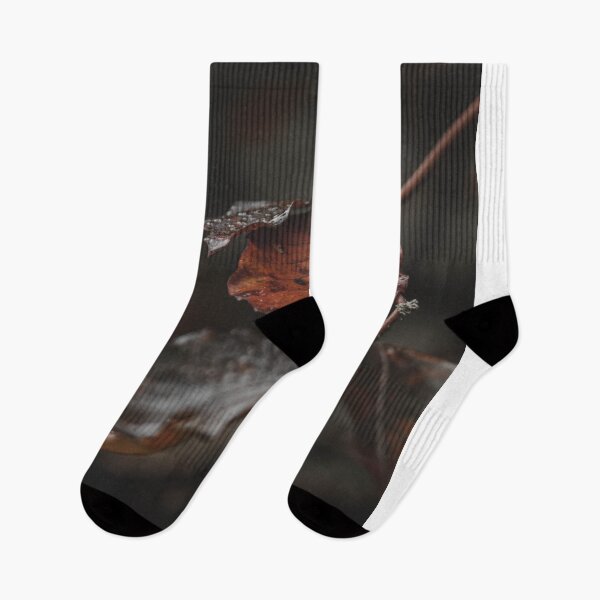 Item preview, Wet Autumn Leaves On Branch With Water Droplets designed and sold by Francisera.