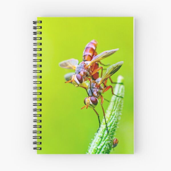 Item preview, Pair Of Orange Flies Perched On Green Plant Tip designed and sold by Francisera.