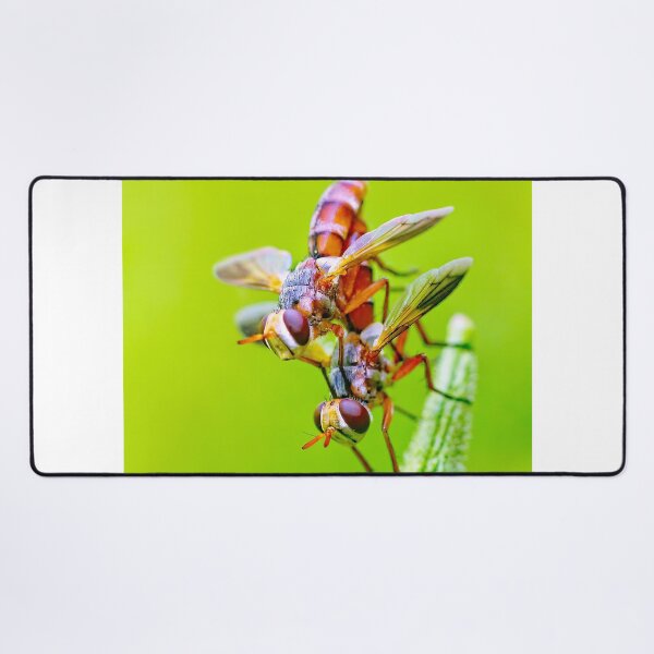 Item preview, Pair Of Orange Flies Perched On Green Plant Tip designed and sold by Francisera.
