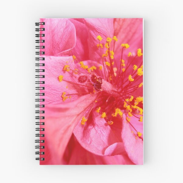 Item preview, Pink Perfection, Hibiscus, Wollongong, Australia. designed and sold by kaysharp.