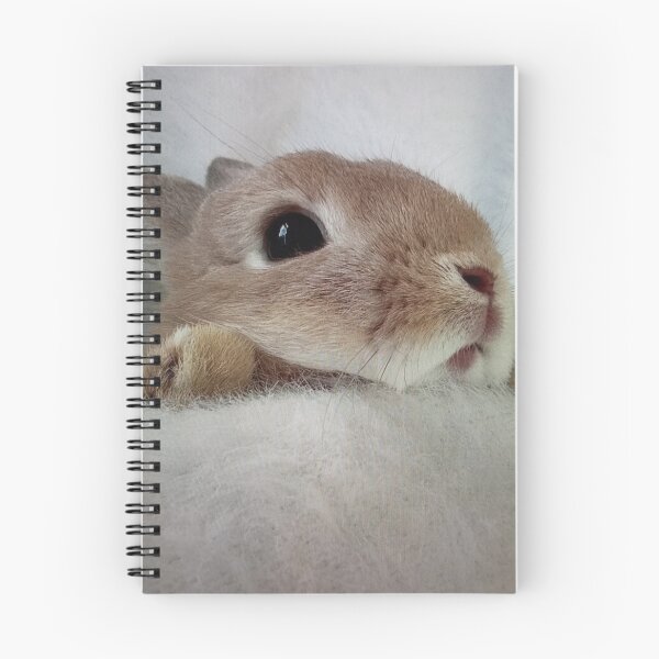 Item preview, Adorable Bunny Cuddled in Blanket designed and sold by Romyfuslice.