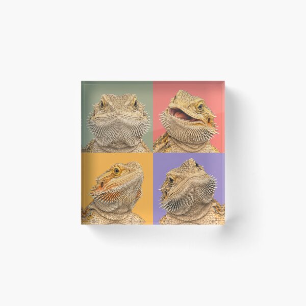 Item preview, Funny Bearded Dragon Lizard Portrait designed and sold by pixiedustpaint.