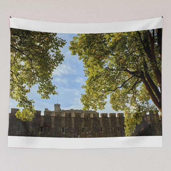 Item preview, Murallas de la fortaleza del castillo de Cardiff en otoño designed and sold by VnGphoto.