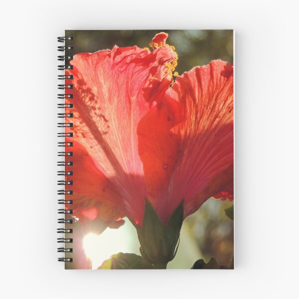 Item preview, Hibiscus, Nambucca Heads, NSW, Australia. designed and sold by kaysharp.