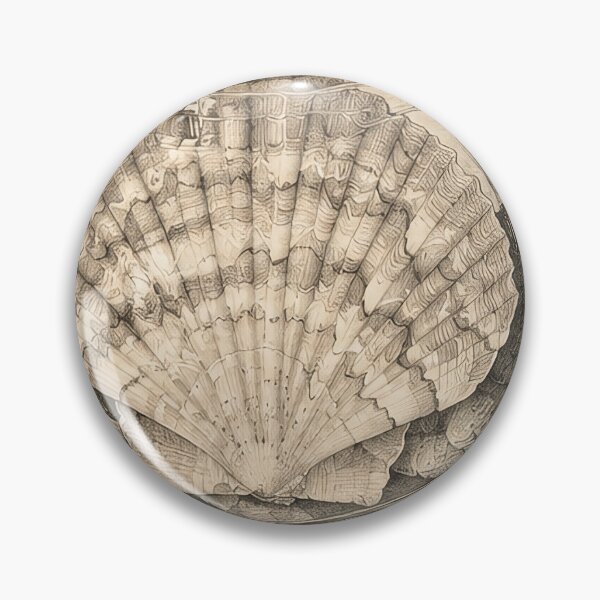 Item preview, Shell collection poster designed and sold by Dreaming Shell.