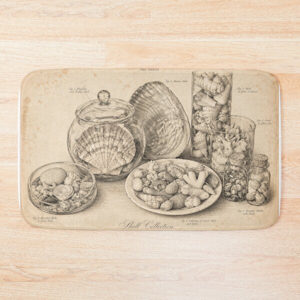Item preview, Shell collection poster designed and sold by Dreaming Shell.