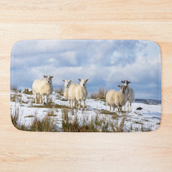 Artikelvorschau, Schafe im Schnee entworfen und verkauft von Jane Stanley Photography.