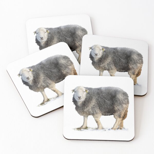 Item preview, Herdwick Sheep in Winter Placement Print designed and sold by Jane Stanley Photography.