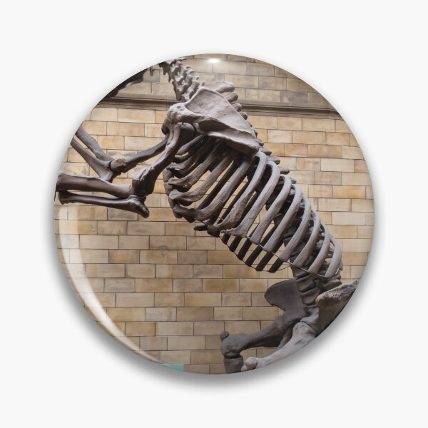 Item preview, Megatherium Giant Ground Sloth at National History Museum designed and sold by Astute-Artio-Photography.