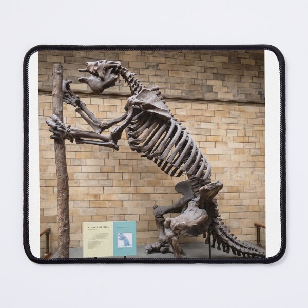 Item preview, Megatherium Giant Ground Sloth at National History Museum designed and sold by Astute-Artio-Photography.