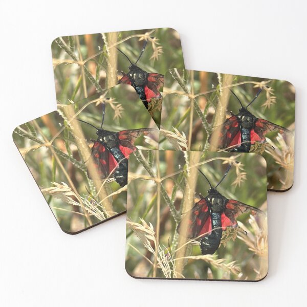 Item preview, Crimson and Emerald Burnet Moth Amidst Summer Grasses designed and sold by Astute-Artio-Photography.