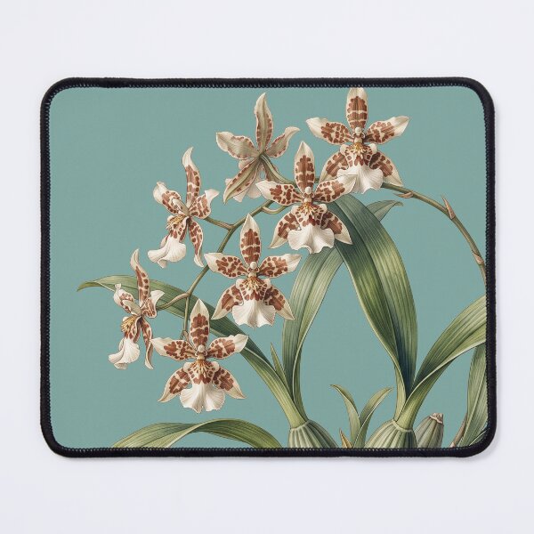 Item preview, Oncidium Alexandrae Orchid Print: The Victorian Hostage designed and sold by FreiherrPK.