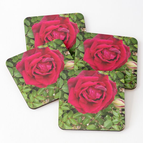 Item preview, Deep Red Rose in Full Bloom — Garden Rose Photography designed and sold by RavinEnd.