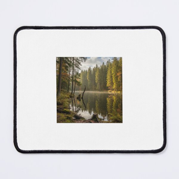 Item preview, Forest environment  designed and sold by Edwardge.