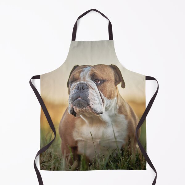 Item preview, Cute English Bulldog In Grassy Field designed and sold by VanGaldo.