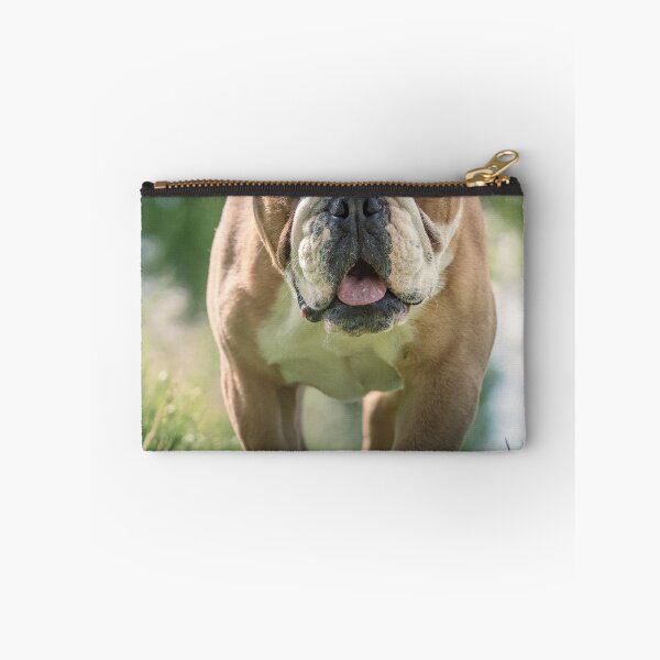 Item preview, Cute English Bulldog Walking In Grass designed and sold by VanGaldo.