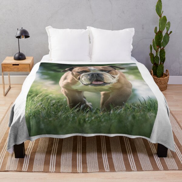 Item preview, Cute English Bulldog Walking In Grass designed and sold by VanGaldo.