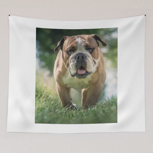 Item preview, Cute English Bulldog Walking In Grass designed and sold by VanGaldo.