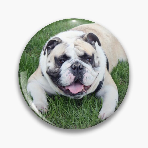 Item preview, Smiling English Bulldog Lying In Grass designed and sold by VanGaldo.