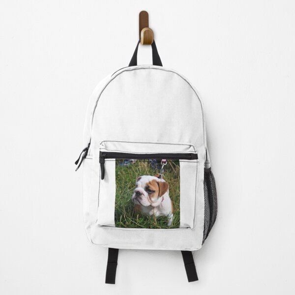 Item preview, Cute English Bulldog Puppy In Grass designed and sold by VanGaldo.