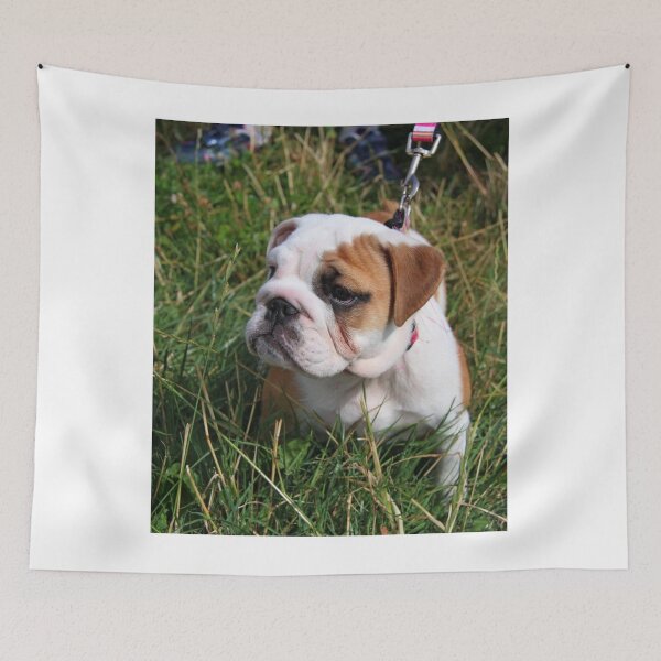 Item preview, Cute English Bulldog Puppy In Grass designed and sold by VanGaldo.
