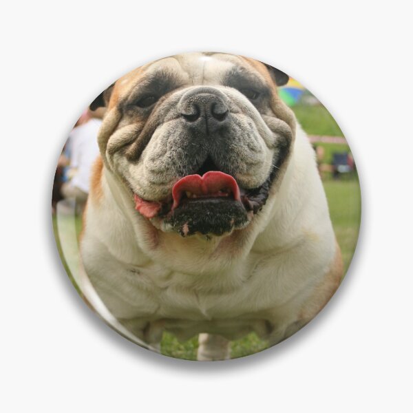 Item preview, Smiling English Bulldog Tongue Out Portrait designed and sold by VanGaldo.