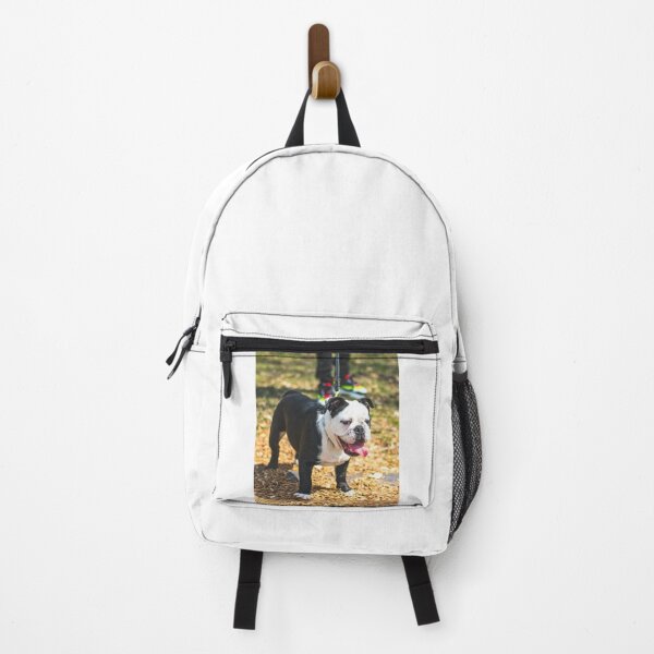 Item preview, Happy Black And White English Bulldog designed and sold by VanGaldo.