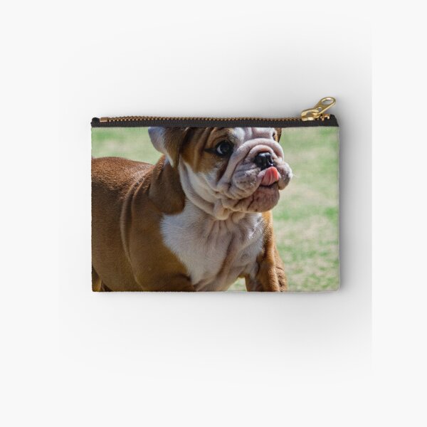 Item preview, Running English Bulldog Puppy Nose Lick designed and sold by VanGaldo.