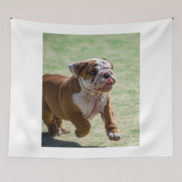 Item preview, Running English Bulldog Puppy Nose Lick designed and sold by VanGaldo.