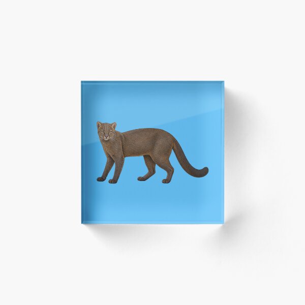 Item preview, Jaguarundi designed and sold by RAMIRELLI.